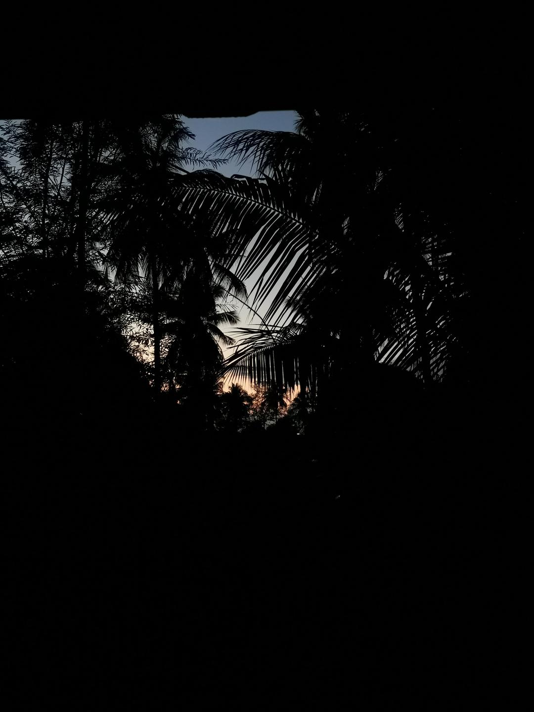 Aussicht von meinem Bungalow 