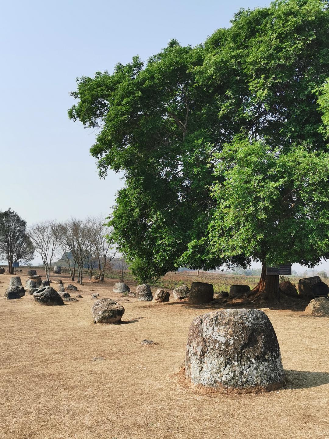 Plain of Jars Site 1