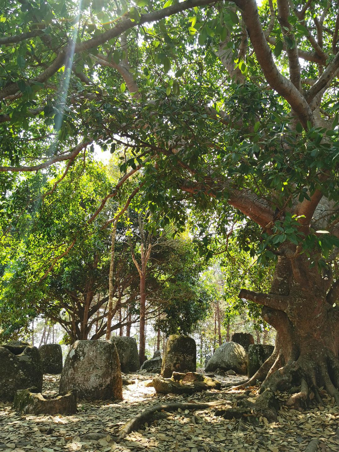 Plain of Jars Site 2 