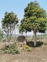 Plain of Jars Site 3 