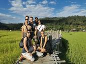 Bamboo Bridge 