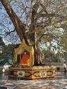 Shwedagon Pagoda, Yangon 